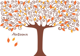 Fototapeta na wymiar graphic image collection of tree. seasons. Autumn