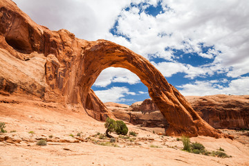 Canyonlands National Park, Utah, USA