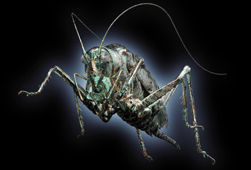 digital safety concept electronic computer bug isolated