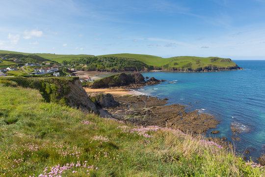 Uk South Coast Hope Cove Devon Near Salcombe In Summer