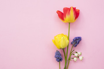 Group of spring seasonal flowers as tulips, muscaria and lily of the valley, placed on a decorative pink background with space to place text or other elements