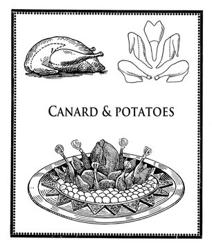 Vintage food and kitchen, poultry cuts and roasted canard with potatoes