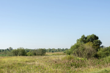 Obraz premium Summer Rural Landscape