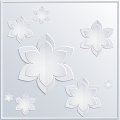 Background white flowers