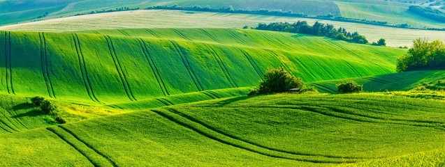 Moravian rolling landscape