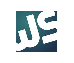 WS Initial Logo for your startup venture