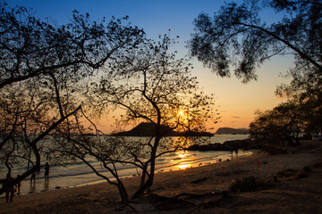 Obraz premium Tropical beach at sunset - nature background