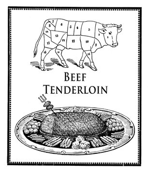 Vintage food, roasted beef ternderloin and cow diagram with numb