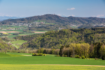 Fototapeta na wymiar View to Uetliberg, near Zurich