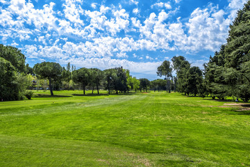 Fototapeta na wymiar Green grass on a golf field on sunny day