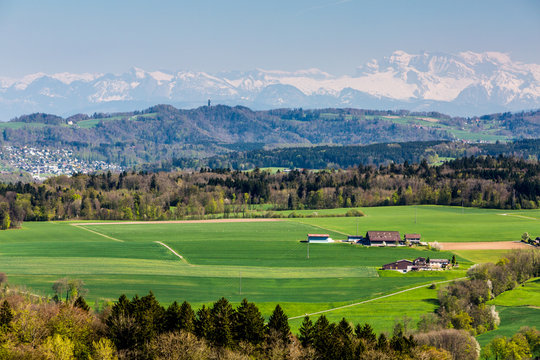 View to Uetliberg, near Zurich