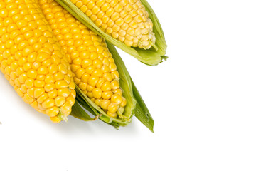 Fresh corn with green leaves isolated on white background