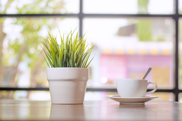 A small plant near window with coffee cup