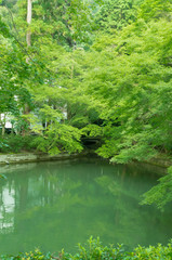 Japanese style garden in kiyomizu-dera temple, kyoto, japan