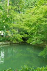 Fototapeta na wymiar Japanese style garden in kiyomizu-dera temple, kyoto, japan