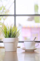 Fototapeta na wymiar A small plant near window with coffee cup
