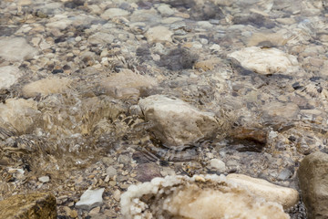 Fototapeta premium Wave washing a boulder at water edge