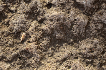 Natural cracked stone solid layer