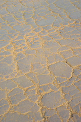 dry soil pressed tightly in country road