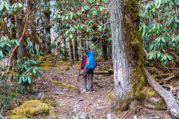 Obraz premium Hike in Himalayas
