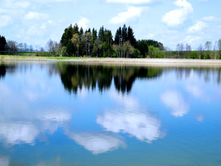 Wasserspiegelung von Bäumen im See