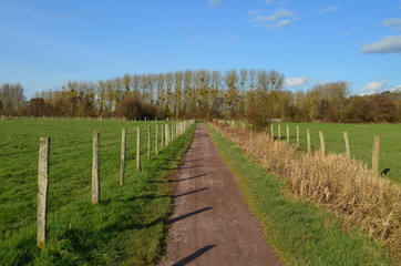 Chemin de promenade à Louvigny (région de Caen-Normandie)