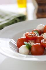 Mozzarella with tomatoes, italian herbs and salad leaves on a white plate on a table, closeup, selective focus.