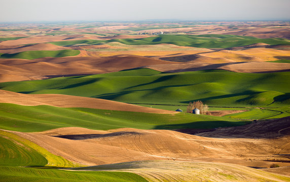 Palouse Region Steptoe Butte Farmland Rolling Hills Agriculture