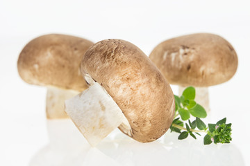Bunch of button mushrooms with fresh oregano, on white background.