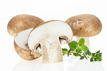 Bunch of button mushrooms with fresh oregano, on white background.