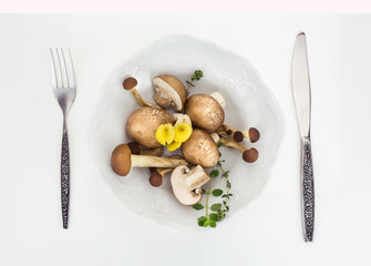 Various mushrooms in bowl with fork and knife, on white background.