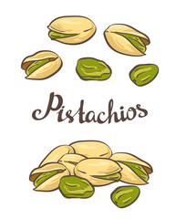 Pistachio nuts. Vector illustration.