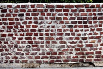 Brick Wall - Ernest Hemingway House 