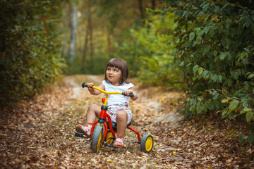 Adorable girl riding a bike on beautiful autumn day. childhood, leisure, friendship and people concept.  walks in the woods on a sunny autumn day. Children playing outdoors.  Happy family. series