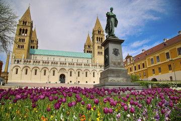 Statue of Ignac Szepesy and Basilica of St. Peter & St. Paul, Pe