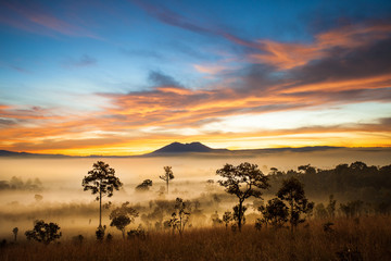 Morring sun rise in Thung Salaeng Luang national park