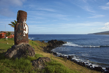Fototapeta premium Ancient Moai statues on the coast of Rapa Nui (Easter Island)