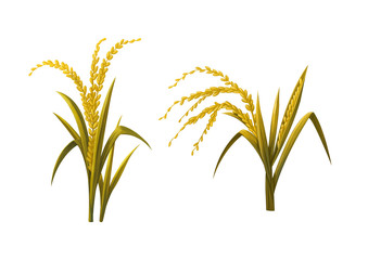 yellow Rices object