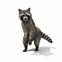 Funny raccoon standing on his hind legs isolated on a white background. 3d rendering