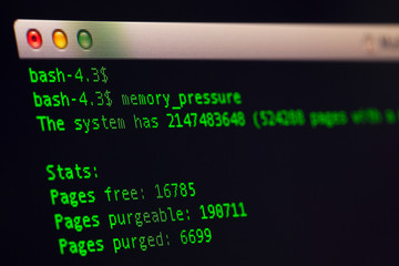 Terminal shown memory usage on unix os