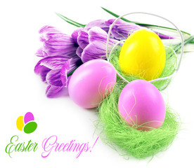 Easter greeting card. Multicoloured eggs and crocus isolated on white