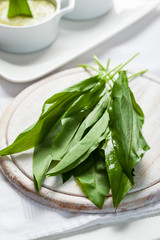 Fresh wild garlic leaves © Brebca