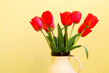 Red tulips in vase 