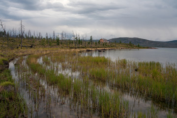 Track under the water along the shore of the lake. Lake Labynkyr. Yakutia. Russia.