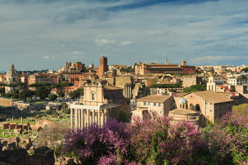Fototapeta premium Viewpoint of the Forum Romanum