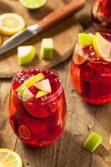 Homemade Fruity Spanish Red Sangria