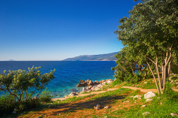 Amazing rocky beach with cristalic clean sea water with pine trees n the coast of Adriatic Sea, Istria, Croatia - obrazy, fototapety, plakaty
