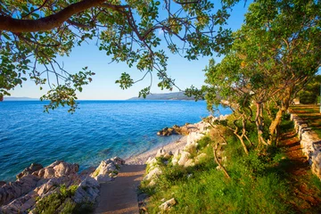 Papier Peint photo Côte Incroyable plage rocheuse avec de l& 39 eau de mer cristalline avec des pins sur la côte de la mer Adriatique, Istrie, Croatie