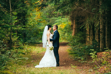 Elegant bride and groom posing together outdoors on a wedding day. Haging, kissing, embracing.