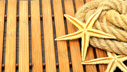 Fototapeta na wymiar Starfish with rope.